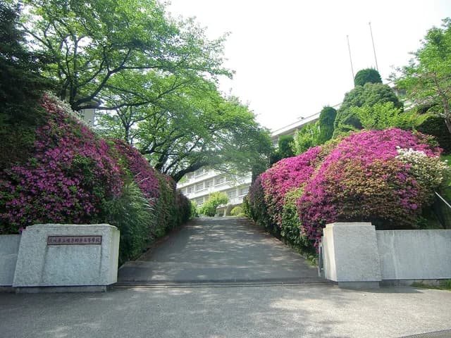 磯原郷英高校の外観