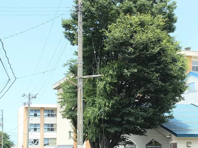 糸魚川白嶺高校の外観