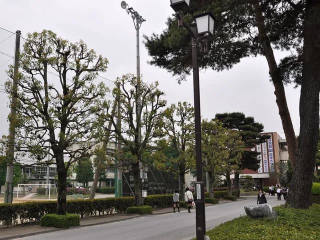 本庄高校の外観