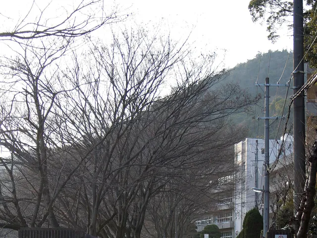 琴丘高校の外観