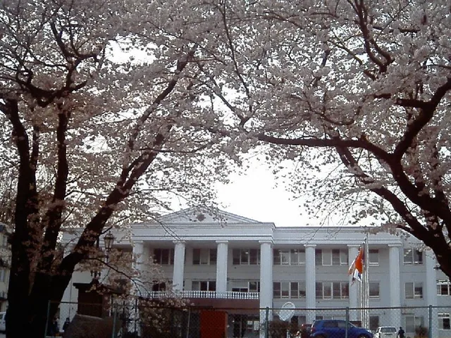 甲陵高校の外観